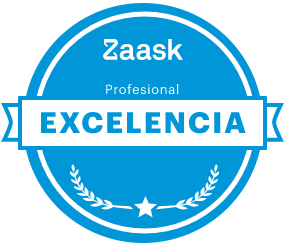 Profesionales de excelencia 2017